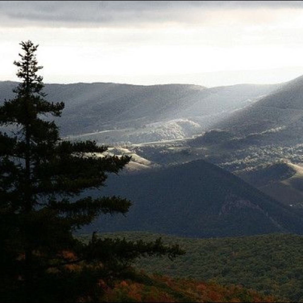 Meet your Posher, Riley